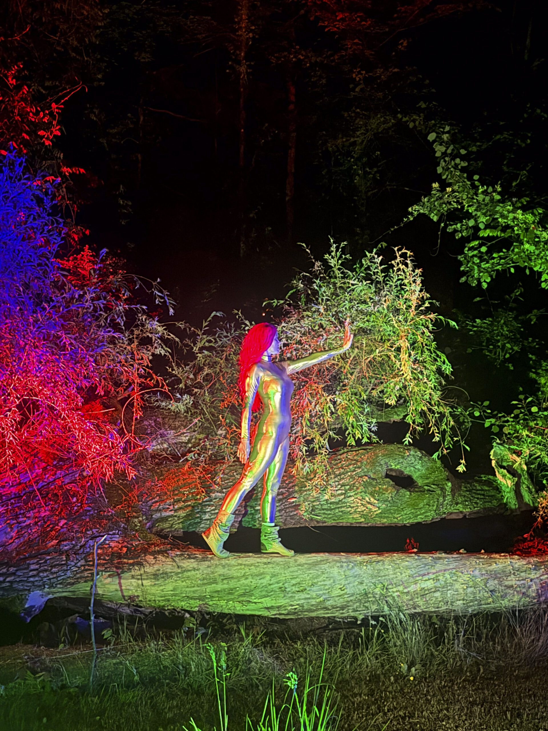 洋楽 NaturalResource Hologram / Solstice 7.53 Summer Solstice Portal: Meditation on Impermanence - Creatrix magazine